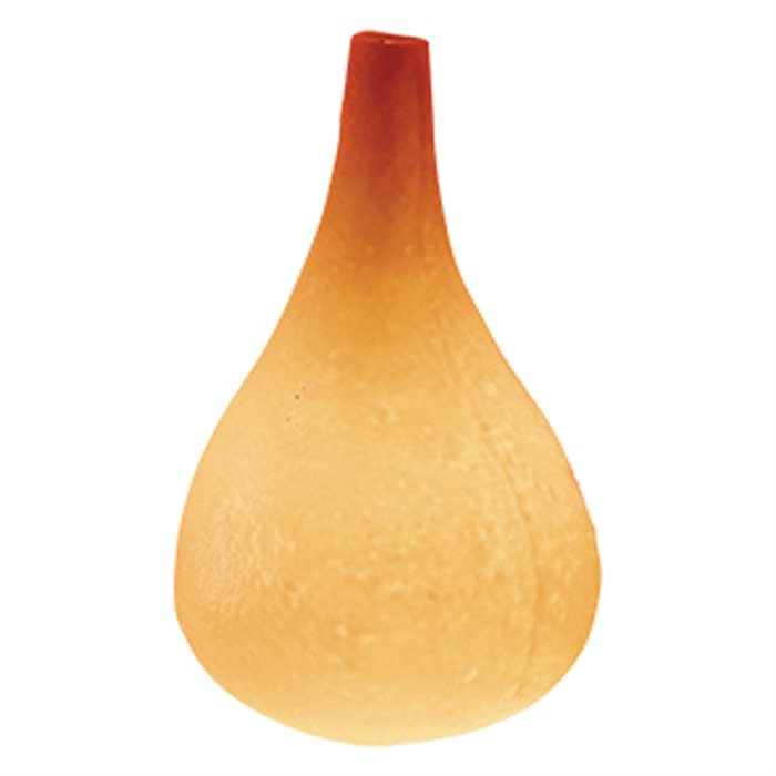 Lampenlux LED Tischleuchte Tischlampe Caisa mundgeblasenes Glas orange G9 3W Ø: 15 cm