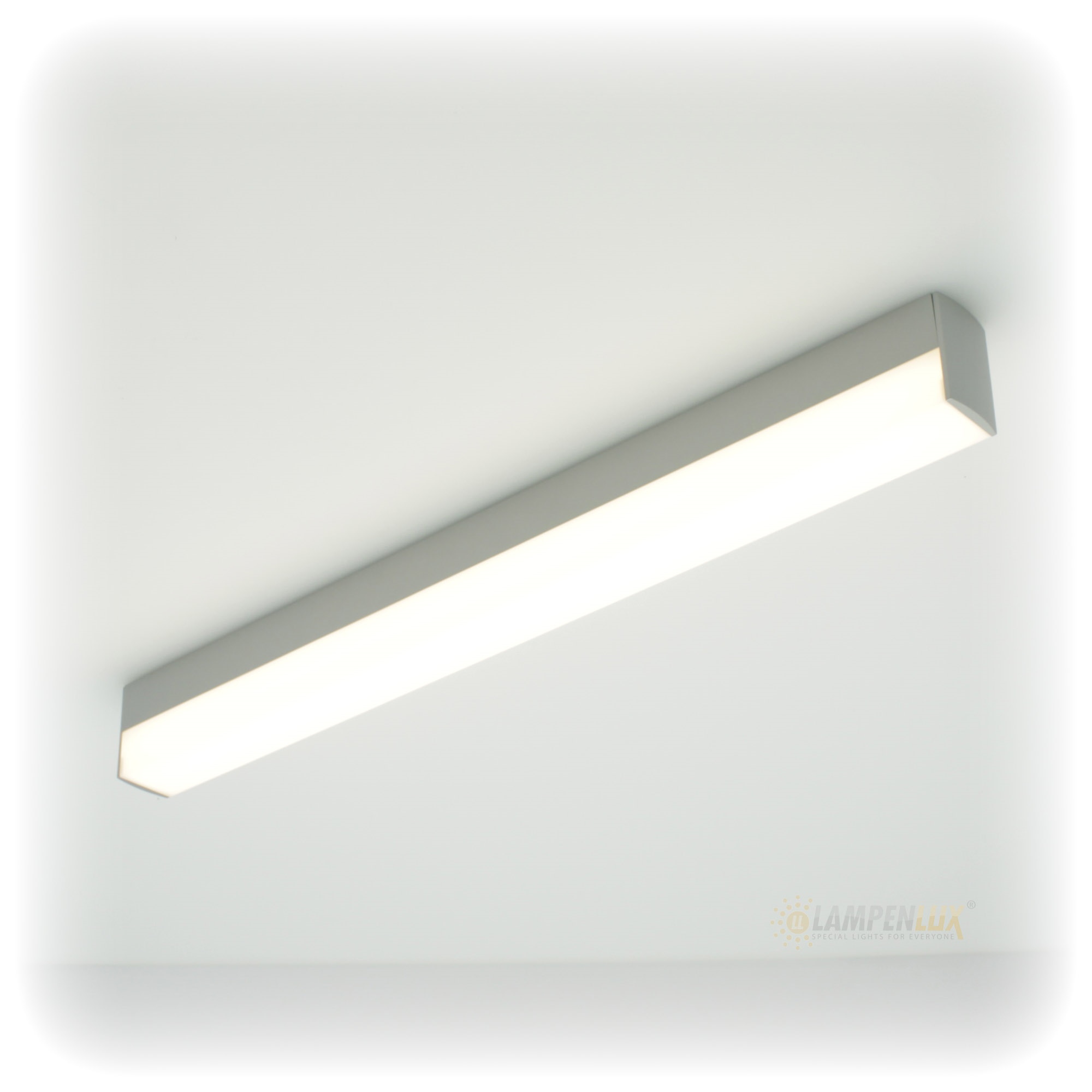 Lampenlux LED Wandlampe Wandleuchte Aaron Badlicht grau 14W 53cm inkl. LM